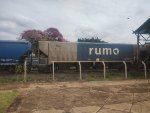 RUMO HPT-033554-1
